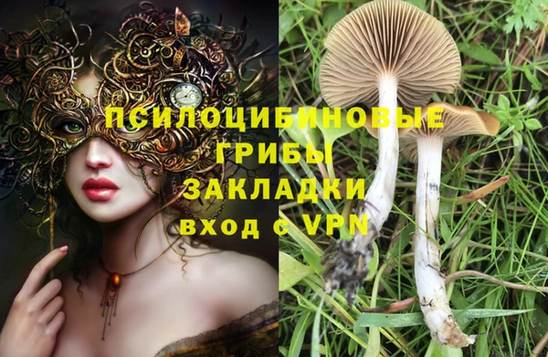 а пвп мука Армянск