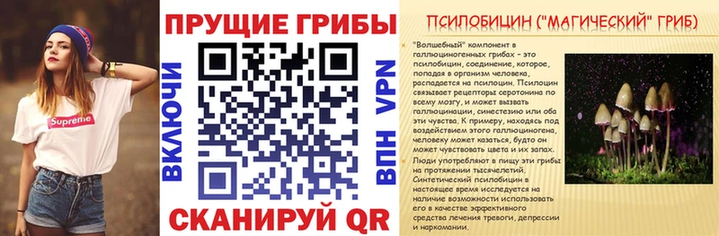Галлюциногенные грибы прущие грибы  купить  сайты  МЕГА как войти  Заозёрск 